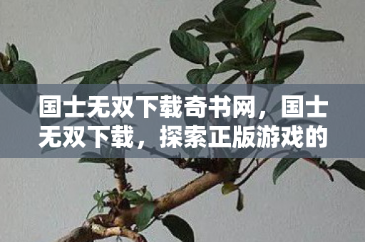 国士无双下载奇书网，国士无双下载，探索正版游戏的便捷之路