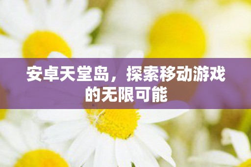 安卓天堂岛，探索移动游戏的无限可能