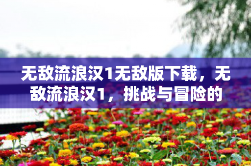 无敌流浪汉1无敌版下载，无敌流浪汉1，挑战与冒险的无限可能