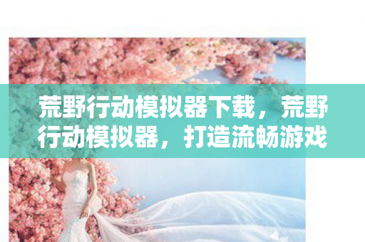 荒野行动模拟器下载，荒野行动模拟器，打造流畅游戏体验的利器