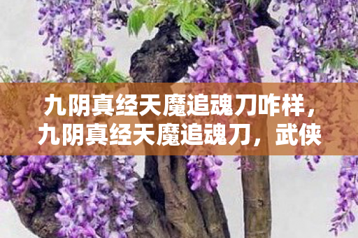 九阴真经天魔追魂刀咋样，九阴真经天魔追魂刀，武侠世界的绝世刀法