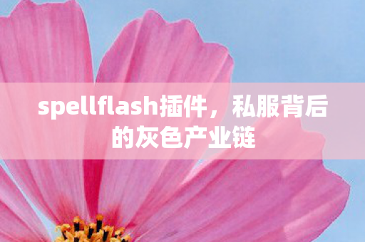 spellflash插件，私服背后的灰色产业链