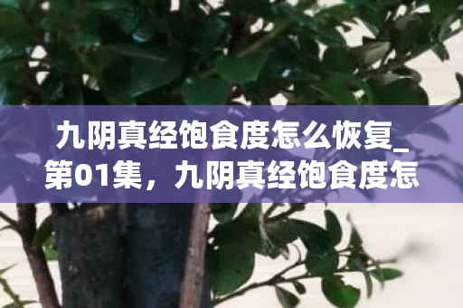 九阴真经饱食度怎么恢复_第01集，九阴真经饱食度怎么恢复