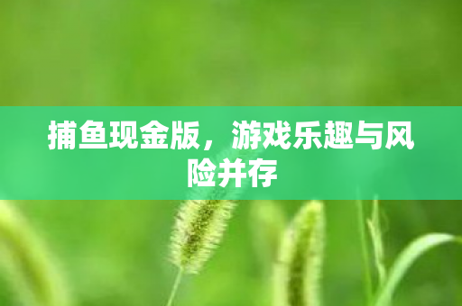 捕鱼现金版，游戏乐趣与风险并存