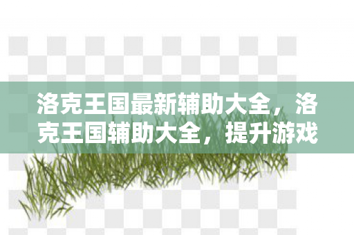 洛克王国最新辅助大全，洛克王国辅助大全，提升游戏效率与乐趣的全方位指南