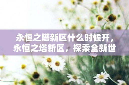 永恒之塔新区什么时候开，永恒之塔新区，探索全新世界的奇妙之旅