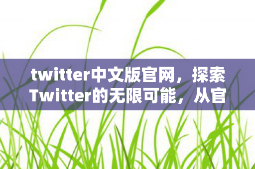twitter中文版官网，探索Twitter的无限可能，从官方到私服的多元体验