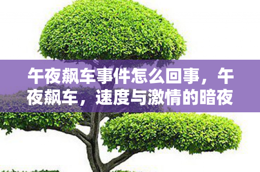 午夜飙车事件怎么回事,午夜飙车,速度与激情的暗夜交响曲 午夜飙车事件怎么回事,午夜飙车,速度与激情的暗夜交响曲