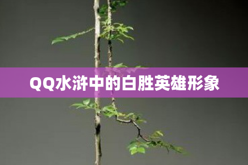 QQ水浒中的白胜英雄形象