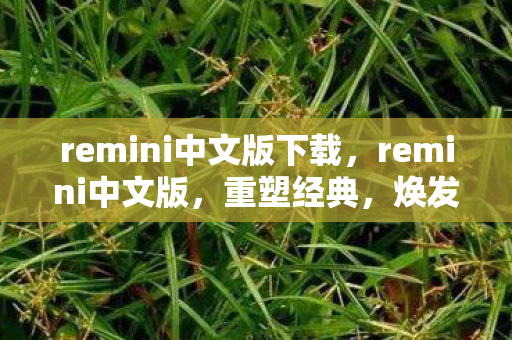 remini中文版下载，remini中文版，重塑经典，焕发新颜