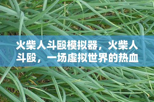 火柴人斗殴模拟器，火柴人斗殴，一场虚拟世界的热血较量