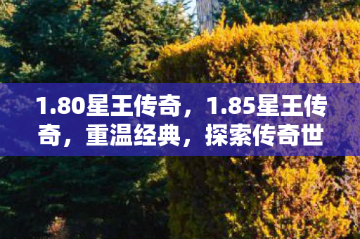 1.80星王传奇，1.85星王传奇，重温经典，探索传奇世界的无限可能