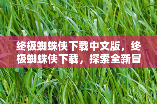 终极蜘蛛侠下载中文版，终极蜘蛛侠下载，探索全新冒险之旅