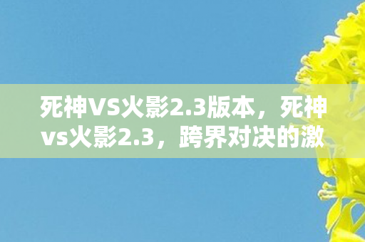 死神VS火影2.3版本,死神vs火影2.3,跨界对决的激情碰撞 死神VS火影2.3版本,死神vs火影2.3,跨界对决的激情碰撞