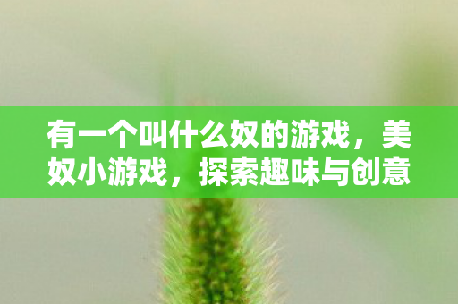 有一个叫什么奴的游戏，美奴小游戏，探索趣味与创意的无限可能