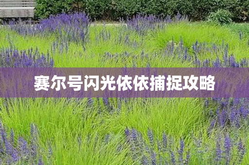 赛尔号闪光依依捕捉攻略