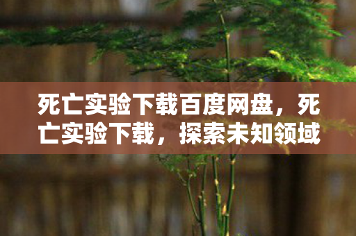 死亡实验下载百度网盘，死亡实验下载，探索未知领域的勇气与智慧