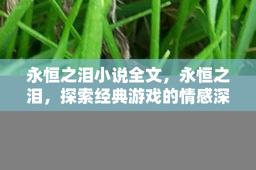 永恒之泪小说全文，永恒之泪，探索经典游戏的情感深度与社区价值
