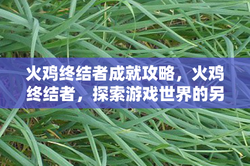 火鸡终结者成就攻略,火鸡终结者,探索游戏世界的另类选择 火鸡终结者成就攻略,火鸡终结者,探索游戏世界的另类选择