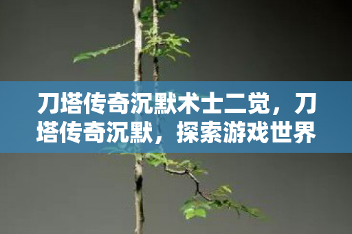 刀塔传奇沉默术士二觉，刀塔传奇沉默，探索游戏世界的深度与广度