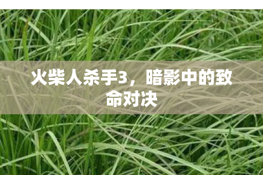 火柴人杀手3，暗影中的致命对决