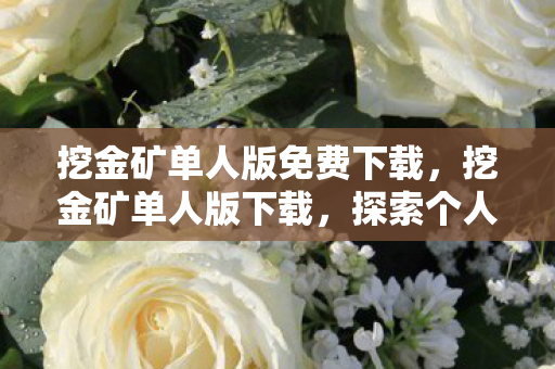 挖金矿单人版免费下载，挖金矿单人版下载，探索个人挖矿之旅的绝佳选择
