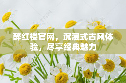 醉红楼官网，沉浸式古风体验，尽享经典魅力