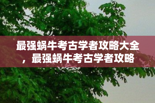 最强蜗牛考古学者攻略大全，最强蜗牛考古学者攻略