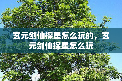 玄元剑仙探星怎么玩的，玄元剑仙探星怎么玩