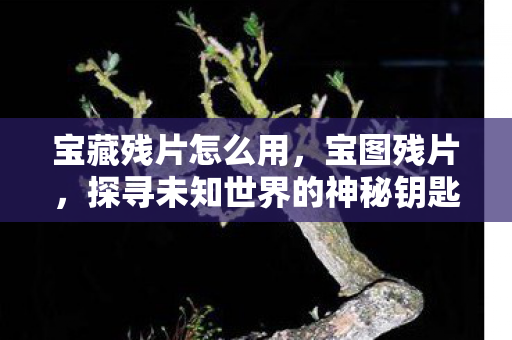 宝藏残片怎么用，宝图残片，探寻未知世界的神秘钥匙