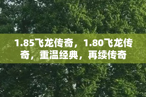1.85飞龙传奇，1.80飞龙传奇，重温经典，再续传奇