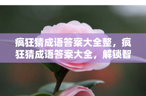 疯狂猜成语答案大全整，疯狂猜成语答案大全，解锁智慧，尽享成语魅力