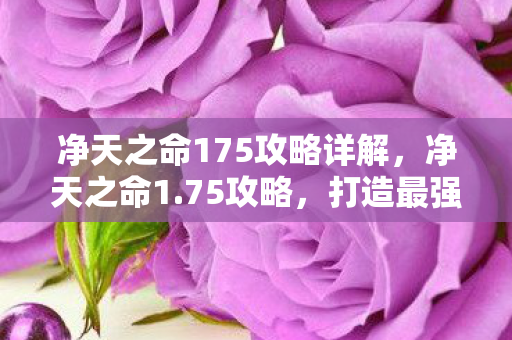 净天之命175攻略详解，净天之命1.75攻略，打造最强角色的全面指南