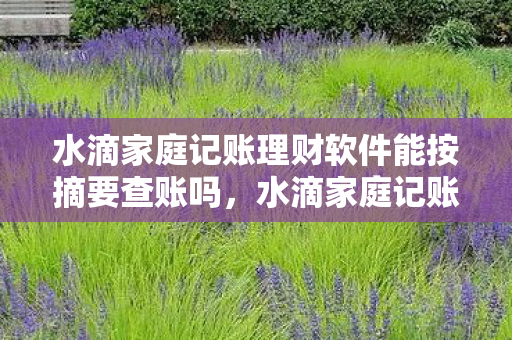 水滴家庭记账理财软件能按摘要查账吗，水滴家庭记账理财软件，打造智慧家庭财务新生态