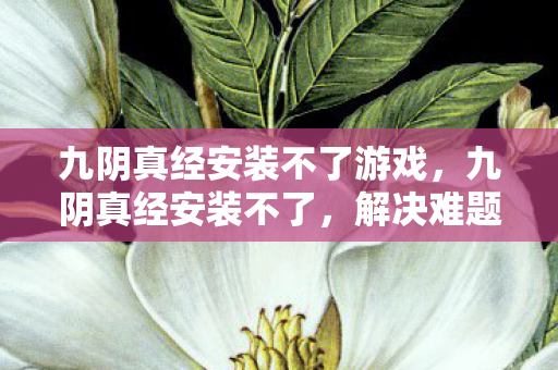 九阴真经安装不了游戏，九阴真经安装不了，解决难题，畅享经典武侠世界