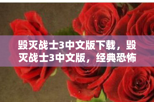毁灭战士3中文版下载，毁灭战士3中文版，经典恐怖射击游戏的中文魅力