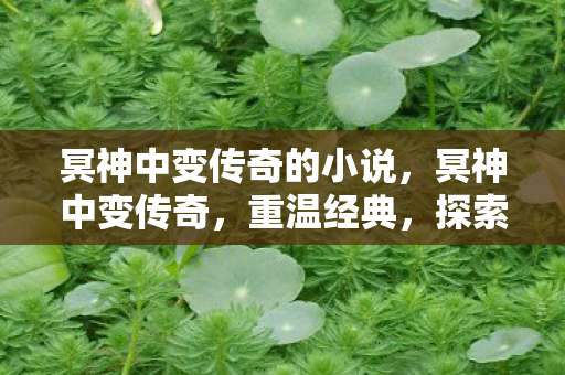 冥神中变传奇的小说,冥神中变传奇,重温经典,探索未知 冥神中变传奇的小说,冥神中变传奇,重温经典,探索未知