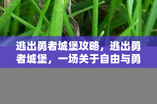 逃出勇者城堡攻略，逃出勇者城堡，一场关于自由与勇气的传奇之旅