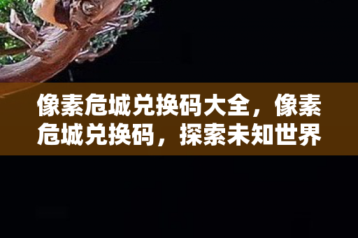 像素危城兑换码大全，像素危城兑换码，探索未知世界的神秘钥匙
