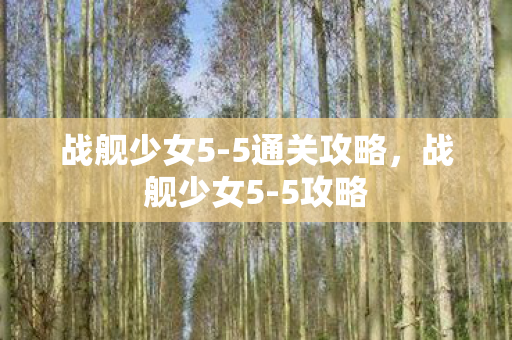 战舰少女5-5通关攻略，战舰少女5-5攻略