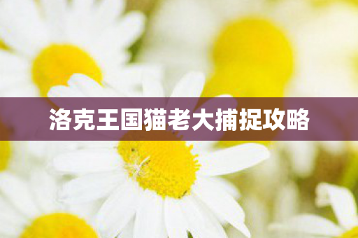 洛克王国猫老大捕捉攻略
