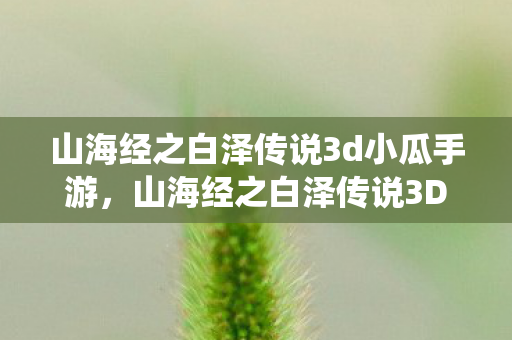 山海经之白泽传说3d小瓜手游，山海经之白泽传说3D，探寻古老神话的现代演绎