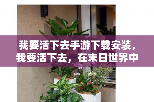 我要活下去手游下载安装，我要活下去，在末日世界中的生存挑战