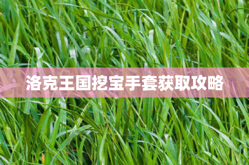 洛克王国挖宝手套获取攻略