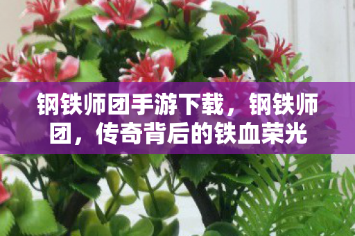 钢铁师团手游下载，钢铁师团，传奇背后的铁血荣光