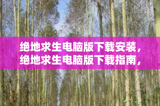 绝地求生电脑版下载安装，绝地求生电脑版下载指南，正版体验，流畅游戏的秘诀