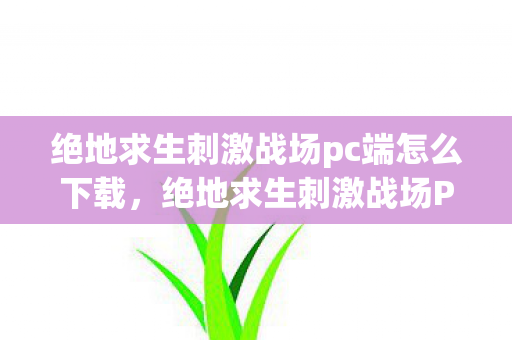 绝地求生刺激战场pc端怎么下载，绝地求生刺激战场PC端，优化设置与战术分析