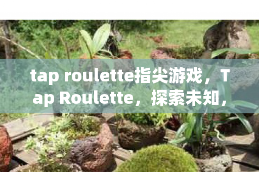 tap roulette指尖游戏,Tap Roulette,探索未知,挑战心跳的冒险游戏 tap roulette指尖游戏,Tap Roulette,探索未知,挑战心跳的冒险游戏