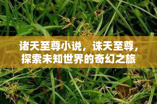 诸天至尊小说,诛天至尊,探索未知世界的奇幻之旅 诸天至尊小说,诛天至尊,探索未知世界的奇幻之旅