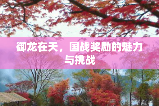 御龙在天，国战奖励的魅力与挑战
